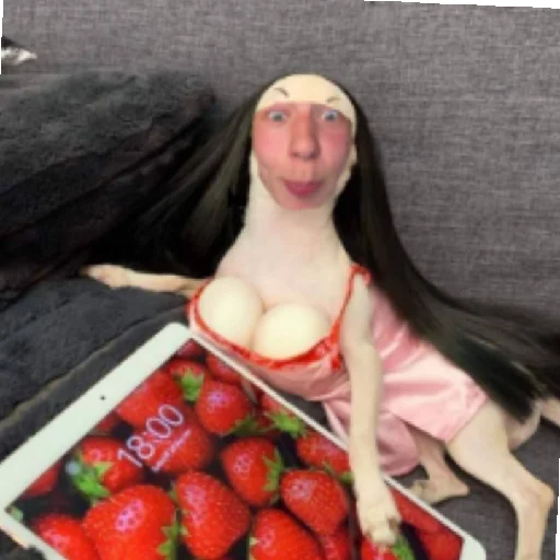 Sticker PakOtSaHaRoZa9 - 1