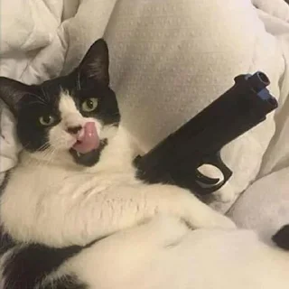 Sticker Pack by @PaladinDev - 5