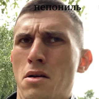 Sticker Картина Репина - 9