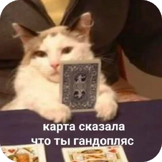 Sticker Палата №6 - 8