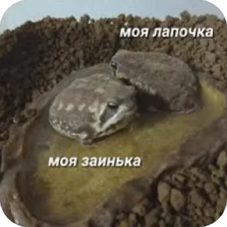 Sticker Палата №6 - 0