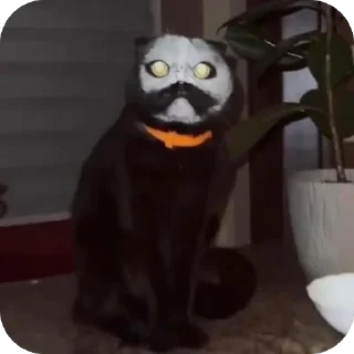 Sticker Палата №6 - 5