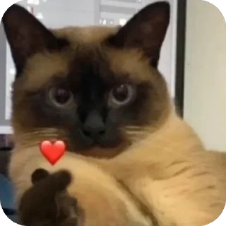 Sticker Палата №6 - 1