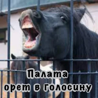 Стикер Палата 69 - 3