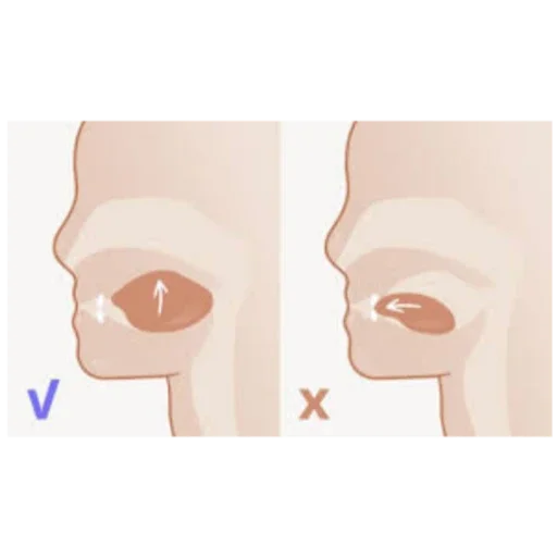 Палинка/Малинка - 