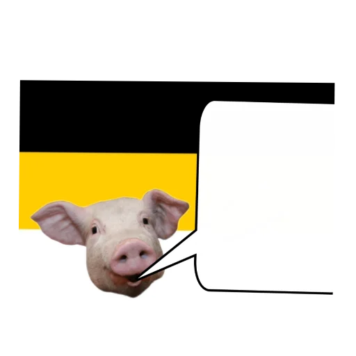 Sticker Pamirpack - 1