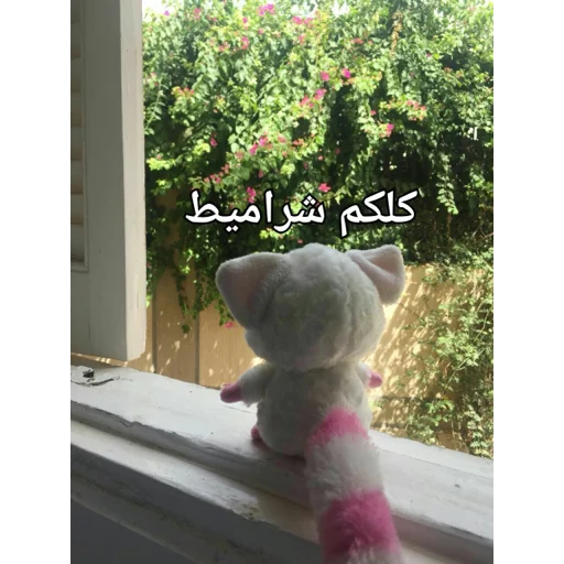 Pammee thinking about life - 