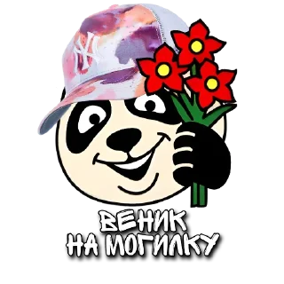 Стикер 𝑀𝑖𝑎 - 11