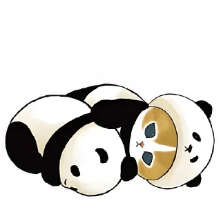 Стикер Панда и Котик - 4