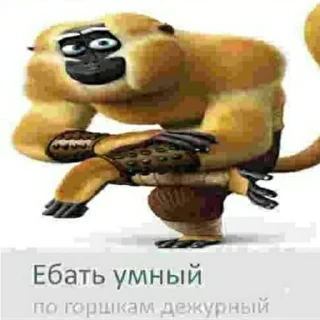 Sticker Кунг-фу Пандыч (by @odis_kray) - 4