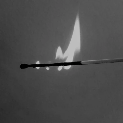 Стикер Паника лох наелась блох by @fStikBot - 10