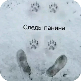 Sticker Панин - 10