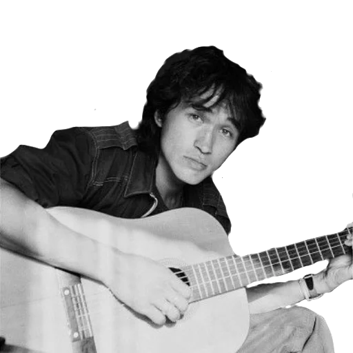 musical instrument music person