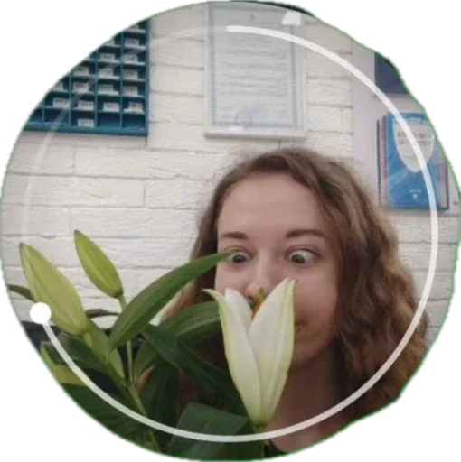 Sticker Papadositi - 1