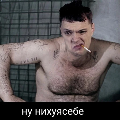 Sticker Papapalata23 - 5