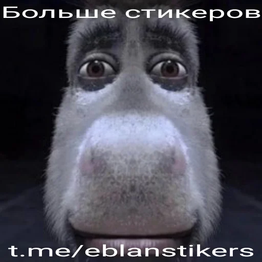 Папка Египет 2010 - 