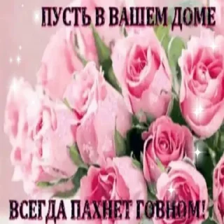 Стикер Папка Египет 2010 - 2