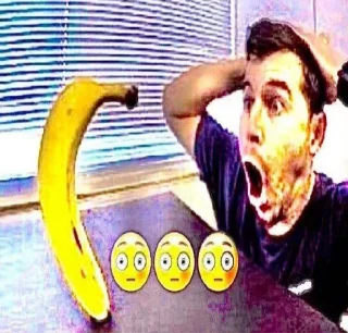 Стикер Папка Египет 2010 - 11