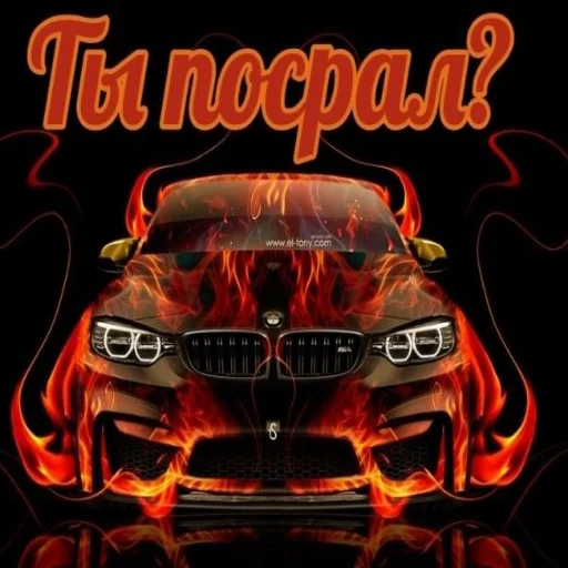 vehicle land vehicle car