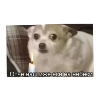 Sticker Папр - 3