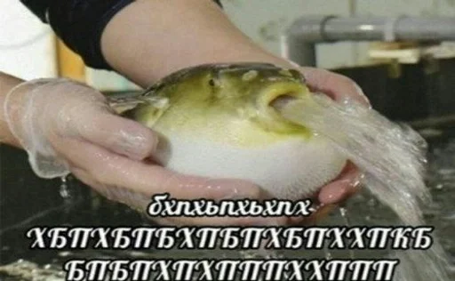 СМС Человек рыба