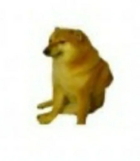 млекопитающее животное порода собак