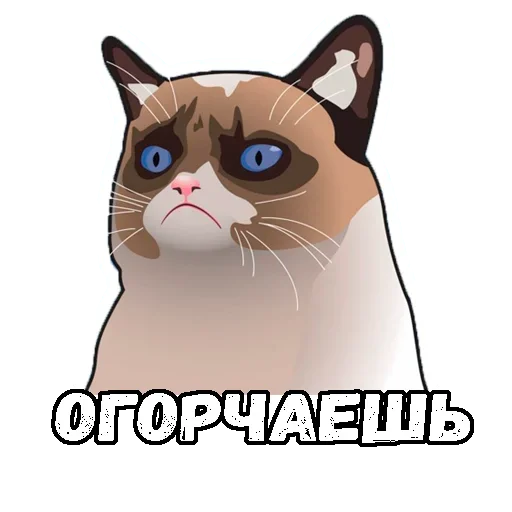 Стикер Paradise Planet - 10