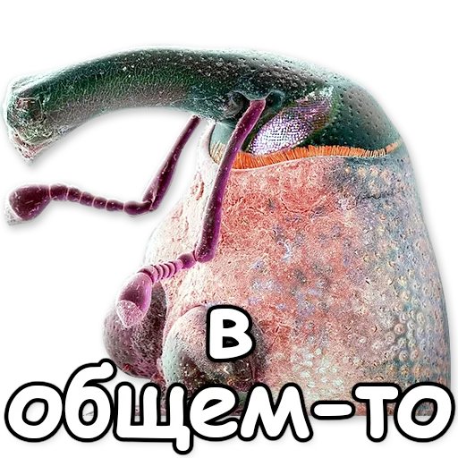 СМС искусство