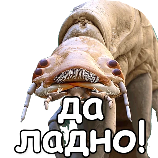 СМС статуя животное