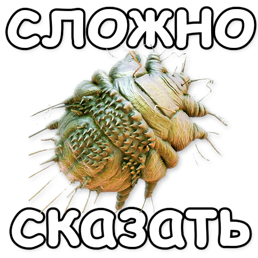 СМС животное беспозвоночный