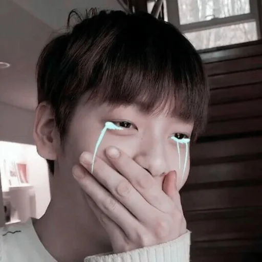 Человек человеческое лицо комнатный