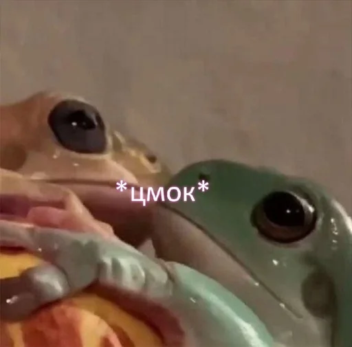 Херня от Пари :: @fStikBot - 