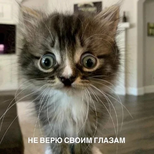 Стикер Херня от Пари :: @fStikBot - 10