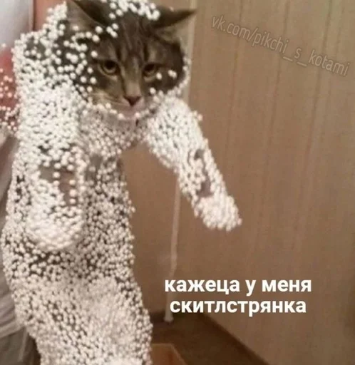 Стикер Херня от Пари :: @fStikBot - 9