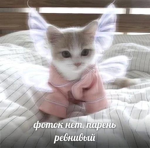 Стикер Херня от Пари :: @fStikBot - 7