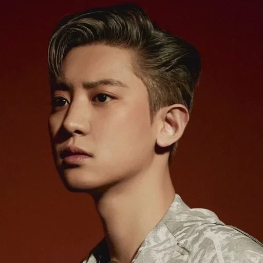 Park Chanyeol @Stickertic - 