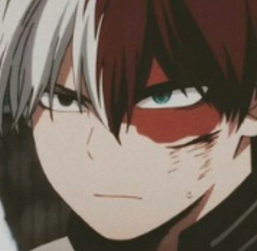 Sticker Parrot Todoroki by @fStikBot - 4