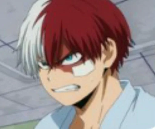 Sticker Parrot Todoroki by @fStikBot - 0