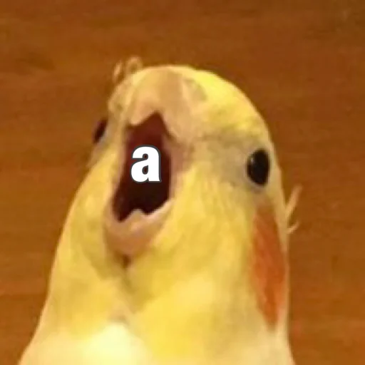 Попуги (@t_stickers) - 