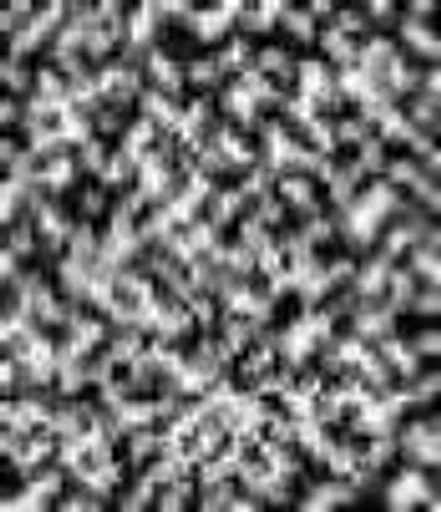 черно-белый рисунок монохромный