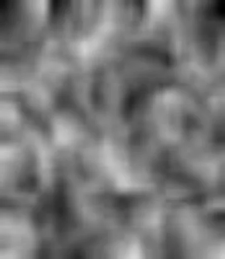 черно-белый монохромная фотография монохромный