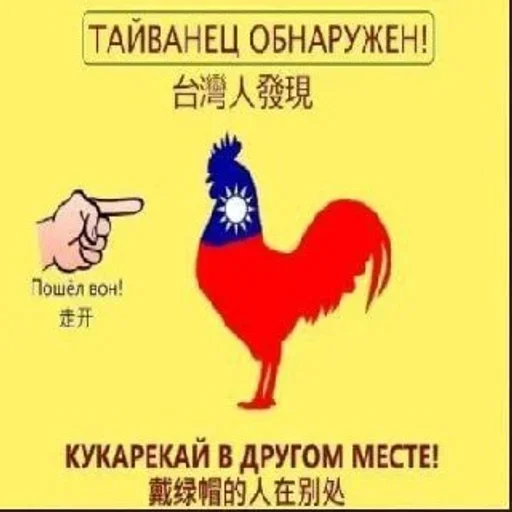 СМС курица животное