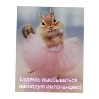 Sticker Пасебааа - 0