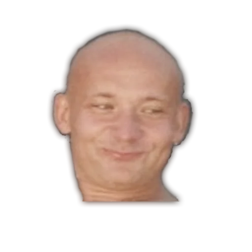 human face forehead chin