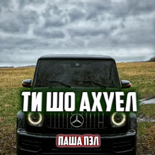 Стикер ПАША ПЭЛ - 9