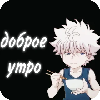 Sticker 𓆩kopchik𓆪 (hunter x hunter) - 1