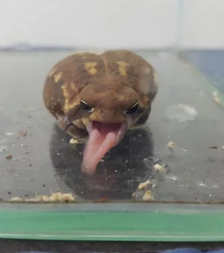 Стикер PashasParadise - 1