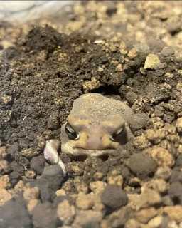 Стикер Пашино подсознание - 4