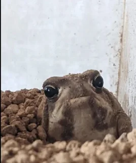 Стикер Пашино подсознание - 9