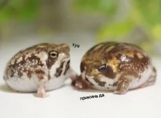 Стикер Пашино подсознание - 1